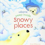 Peep Inside Snowy Places (Peep Inside)