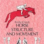 Horse Structure and Movement
