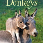 Usborne Beginners - Donkeys, Usborne