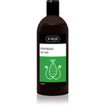 Family Shampoo Ziaja