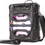 Aparat de karaoke Bluetooth cu microfon IJOY, negru, 30 x 24 cm