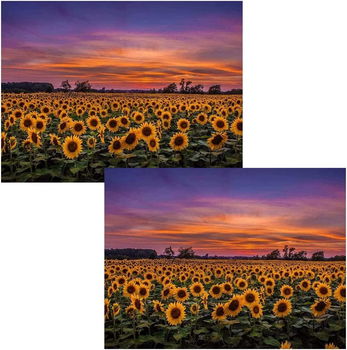Set de 2 picturi cu diamante 5D Hilloly, floarea soarelui, panza, 40x30 cm