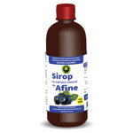 Sirop Afine fara zahar 500 ml, Hypericum