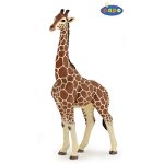 Papo Figurina Girafa Mascul, Papo