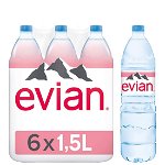 Evian apa minerala naturala plata BAX 6 fl. x 1.5L, Evian