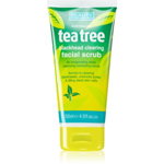Scrub pentru ten impotriva acneei, anti-sebum cu Ceai Verde BEAUTY FORMULAS Blackhead Tea Tree Clearing Facial Scrub, 150 ml, Beauty Formulas