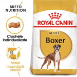Royal Canin Boxer Adult hrană uscată câine, 12kg, Royal Canin