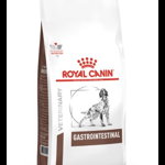Royal Canin Gastro Intestinal Dog 2 kg, Royal Canin
