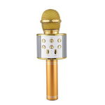 Microfon karaoke SIKS® profesional cu boxa inclusa