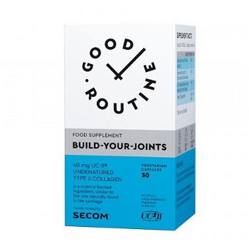 Build Your Joints Good Routine