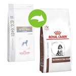 Royal Canin Gastro Intestinal Puppy 2.5 KG, Royal Canin