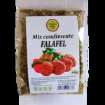 Falafel condimente 40gr, Natural Seeds Product, Natural Seeds Product