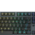 Tastatura gaming opto-mecanica, Cougar, Negru/Multicolor