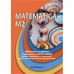 Matematica M2 Ghid pentru BAC - Petre Nachila
