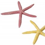AQUA D'ELLA Decoraţiune pentru acvarii Starfish 18,5cm, diverse culori, Aqua D'ella