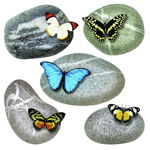 Decorațiune autocolantă Butterflies on Stones, 30 x 30 cm