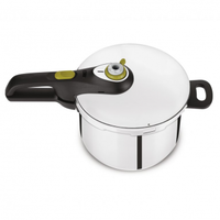 Oala sub presiune TEFAL Secure 5 neo Color, 6l, otel, argintiu