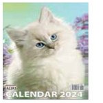 Calendar de perete - Pisici (12+1 file) 2024, 