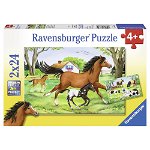 Puzzle lumea cailor 2x24 piese RAVENSBURGER, Ravensburger