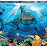 Puzzle cu 500 de piese - Marele rechin alb, Jucaresti