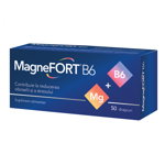 Biofarm MagneFORT B6 30 comprimate filmate, Biofarm SA Romania