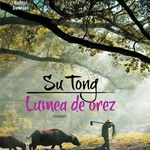 Lumea de orez