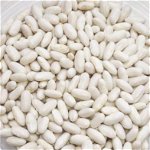 Seminte de fasole pentru boabe Cannellino - vrac - 250 g