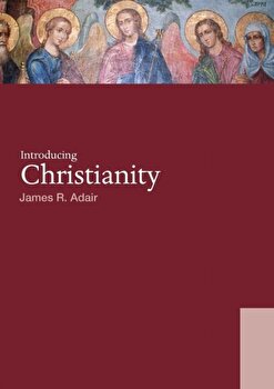 Introducing Christianity (World Religions (Routledge))