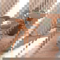 Scaun De Bucatarie Gri Deschis Lemn Curbat and Tesatura