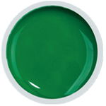 COVER COLOR GEL FSM 054 - CC-054 - Everin.ro, FSM