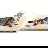 Saltea termica pentru caini si pisici Fish & Paws ® cu auto incalzire, pat culcus moale, rezistenta si confortabila, cu husa detasabila, rezistenta la zgarieturi, pentru interior si exterior, baza antiderapanta, dimensiuni 61x45cm, Alb