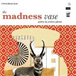 The Madness Vase: By Andrea Gibson