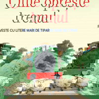 Povesti de la ferma. Ollie opreste trenul. Citesc cu ajutor (Nivelul 1)