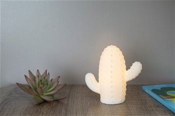 Lampa de veghe - Cactus