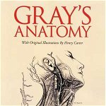 Gray's Anatomy, 