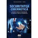 Securitatea cibernetică şi drepturile cetăţenilor în mediul virtual european, Ideea Europeană