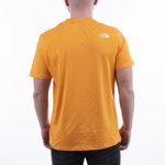 The North Face Easy Tee NF0A2TX3ECL