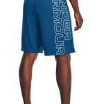 Under Armour Pantaloni scurti UA Tech Wordmark Graphic Shorts