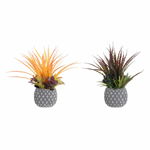 Plantă decorativă DKD Home Decor Portocaliu Roz Gresie Polipropilenă (PP) (2 pcs) (31 x 28 x 29 cm)