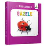 Gazele. Bebe cunoaste, Gama