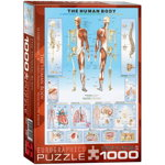 Puzzle 1000 piese The Human Body, JF