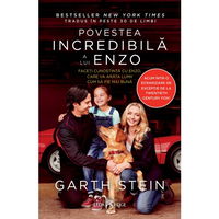 Povestea incredibilă a lui Enzo, 