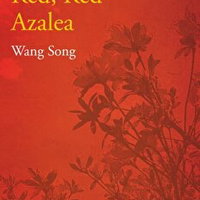 The Poverty Alleviation Series Volume Three. Red