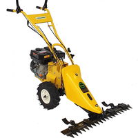 Motocositoare ProGarden BT-SM1003 6.5Cp 51300SM1003