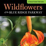 Wildflowers of the Blue Ridge Parkway (Wildflowers in the National Parks Series)