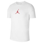 Nike, Tricou cu decolteu la baza gatului si logo Jordan Jumpman, Alb prafuit, L