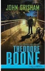 Theodore Boone : Rapirea, 