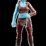 Star Wars The Black Series Attack Of The Clones Aayla Secura 15cm 