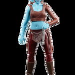 Star Wars The Black Series Attack Of The Clones Aayla Secura 15cm 