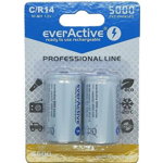 Set 2 Acumulatori R14 C Professional Line, 3000 mAh, Everactive, Everactive
